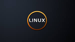 linux 虛擬主機