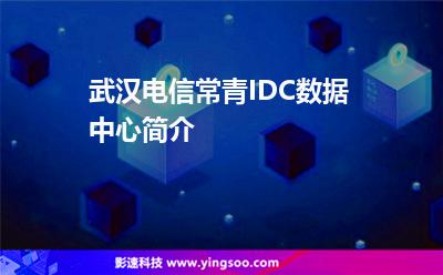 武漢電信常青IDC數(shù)據(jù)中心簡介