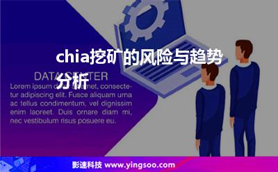 chia挖礦的風(fēng)險(xiǎn)與趨勢(shì)分析