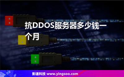 抗DDOS服務(wù)器多少錢一個月