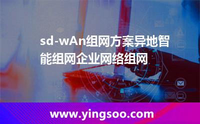 sd-wAn組網(wǎng)方案異地智能組網(wǎng)企業(yè)網(wǎng)絡(luò)組網(wǎng)