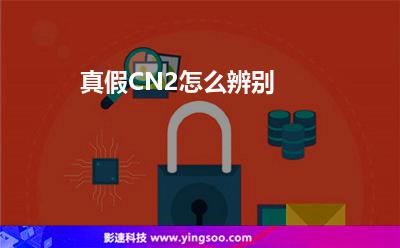 真假CN2怎么辨別