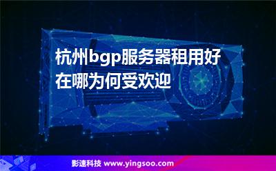 杭州bgp服務器租用好在哪為何受歡迎