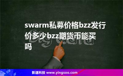 swarm私募價格，bzz發(fā)行價多少，bzz期貨幣能買嗎?