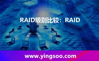 RAID級別比較：RAID&nbsp0，RAID&nbsp1，RAID&nbsp5，RAID&nbsp6和RAID&nbsp10