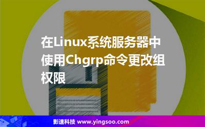 在Linux系統(tǒng)服務(wù)器中使用Chgrp命令更改組權(quán)限