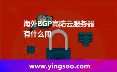 海外BGP高防云服務器有什么用