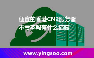 便宜的香港CN2服務(wù)器不虧本嗎有什么貓膩