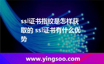 ssl證書指紋是怎樣獲取的 ssl證書有什么優(yōu)勢