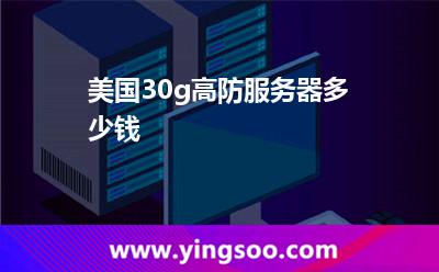 美國30g高防服務(wù)器多少錢